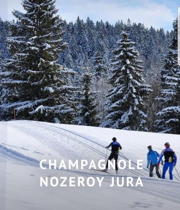 Вілла Gite Jura Mina Chalet Au Milieu De La Nature Ney Екстер'єр фото