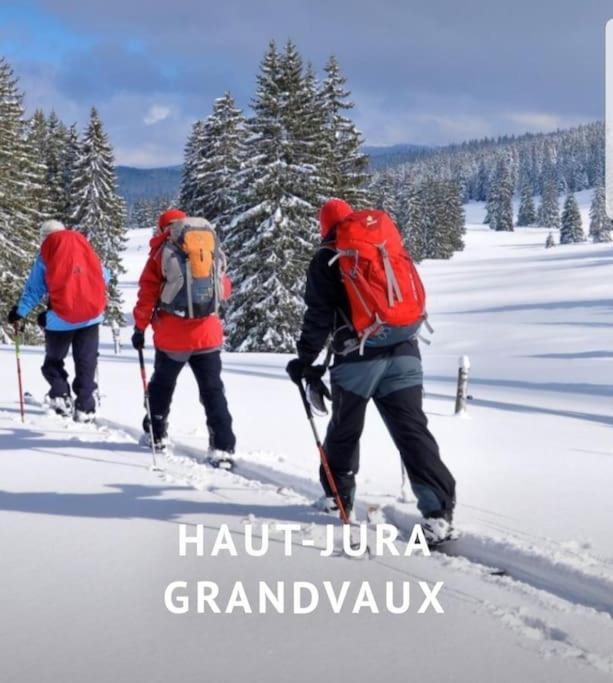 Вілла Gite Jura Mina Chalet Au Milieu De La Nature Ney Екстер'єр фото